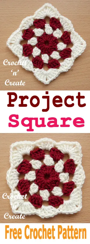 crochet project square