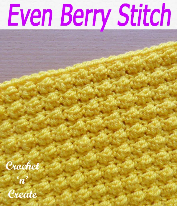 even berry stitch