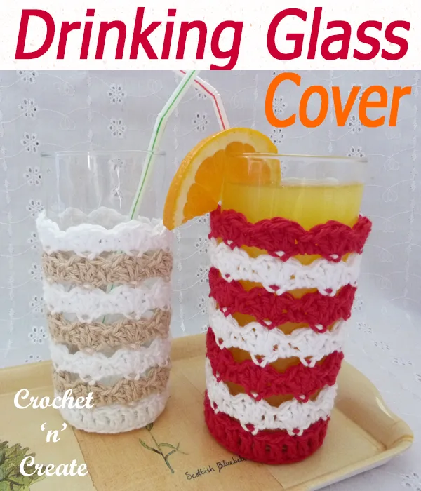 drinking glass cover