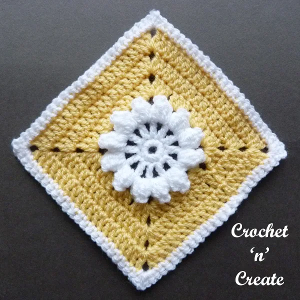 crochet blanket motif