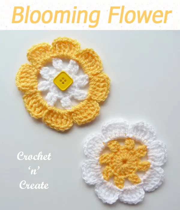 blooming flower